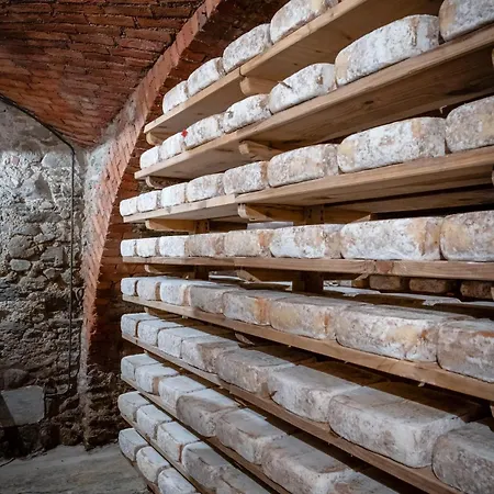 Del Mulino Pamparato